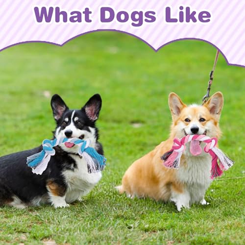 48 Pcs Dog Toys Bulk Chew Ropes Dental Cotton Puppy Toys Dog Chew Puppy Teething Toys 2 Knot Tug of War Toy for Aggressive Chewers Small and Medium Dogs Puppies (7.1 Inch)