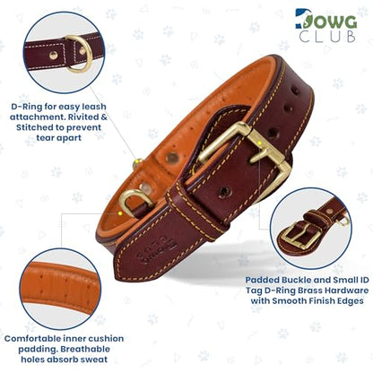Genuine Leather Dog Collar – Full Grain, Breathable Inner Padding, Padded Buckle – Heavy Duty, Adjustable for Small, Medium, Large & XL Breeds (Dark Brown, M (Fit Neck Size 14.5"-18.5")) - color: Dark Brown, size: M (Fit Neck Size 14.5"-18.5")