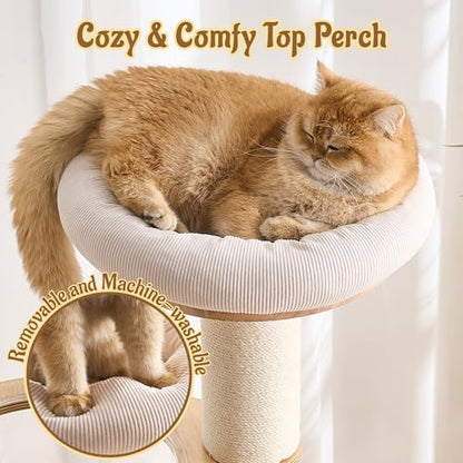 64.2" Modern Cat Tree for Indoor Cats, Solid Wood Cat Tower with Chunky Scratching Posts, 20" Roomy Condo, Cat Bed, Hammock, Capsule Nest, Interactive Squeaky Toy, Multi-Level Cat Furniture - color: 64.2"Natural