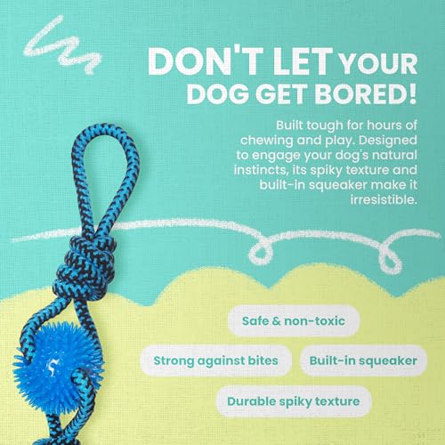 Snugarooz Mini Fling N' Fun Dog Toy – Strong Rubber & Rope Chew Toy for Aggressive Chewers - Perfect for Small Dogs - Aid Dental Health - style: Mini Fling N' Fun