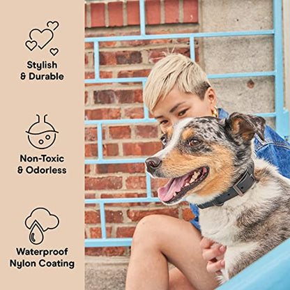 Wild One Dog Collar, Easy-Clean, All Weather Flex-Poly Strap with Metal, Durable, Dirt and Odor Resistant (Black, S) - color: Black, size: S