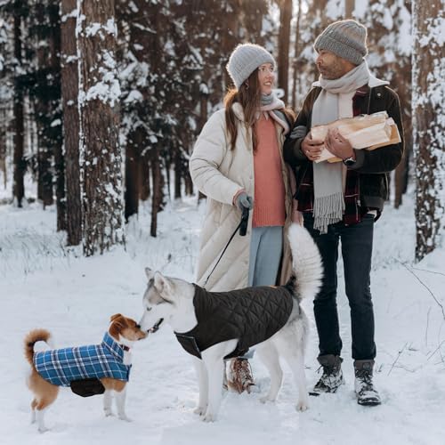 Kuoser Waterproof Dog Coat, Reversible Dog Jacket for Medium Dogs, Adjustable Durable Doggie Winter Coat Warm Puppy Cold Weather Apparel from Small to Large Breed, Blue M - color: Blue, size: Medium (Pack of 1)