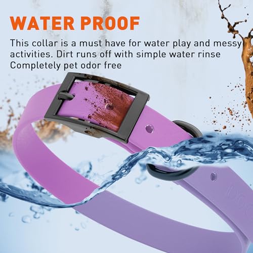 Dogline Biothane Waterproof Dog Collar Strong Coated Nylon Webbing with Black Hardware Odor- Proof for Easy Care Easy to Clean High Performance Fits Small Medium or Large Dogs, Amethyst Purple