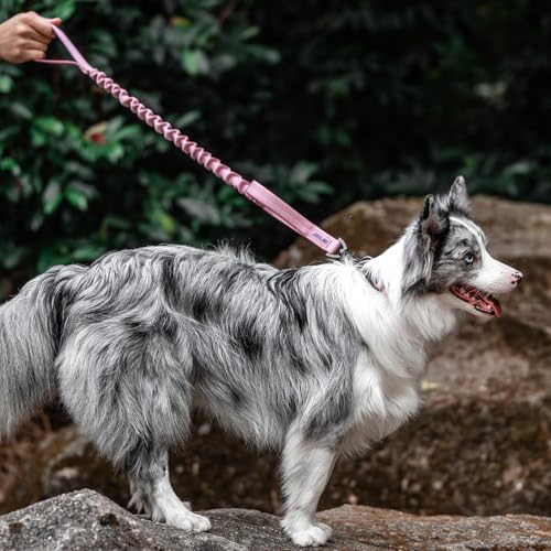 OneTigris Tactical Dog Training Bungee Leash with 2 Control Handle Quick Release Nylon Leads Rope - color: Pink