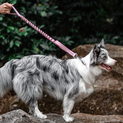 OneTigris Tactical Dog Training Bungee Leash with 2 Control Handle Quick Release Nylon Leads Rope - color: Pink