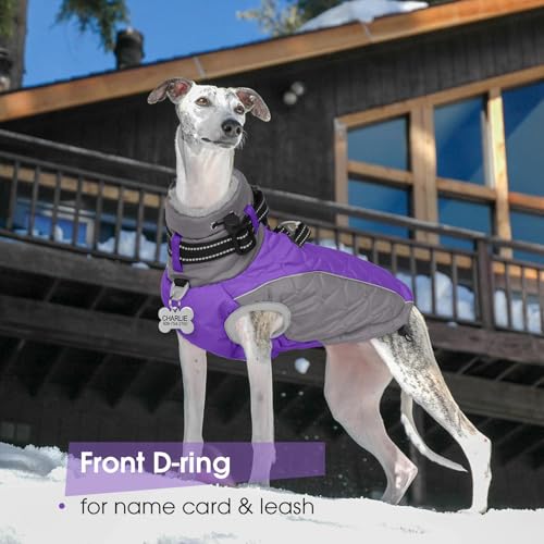 Zippered Small Dog Winter Coat, Turtleneck Reflective Fleece Jacket, Water Resistant Warm Dog Clothes with Buckles & D Ring for Leash and Name Card - XS Purple - color: Purple, size: X-Small