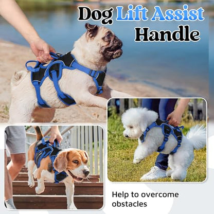 rabbitgoo Escape Proof Dog Harness Large Dogs, Soft Padded Full Body Pet Harness, Reflective Adjustable No Pull Vest with Lift Handle and Leash Clip for Walking Hiking Training, Blue & Black, S - color: Blue & Black, size: Small (Pack of 1)