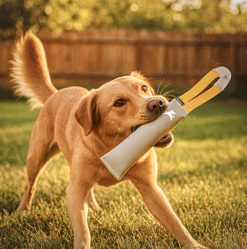OllyDog Tugger | Durable Dog Tug Toy | Recycled | Tough Dog Bite Pillow | Handle | Interactive Pull Toy | Fetch & Training (Con Leche) - color: Con Leche