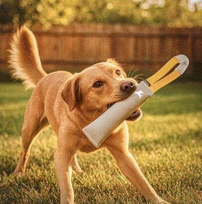 OllyDog Tugger | Durable Dog Tug Toy | Recycled | Tough Dog Bite Pillow | Handle | Interactive Pull Toy | Fetch & Training (Con Leche) - color: Con Leche