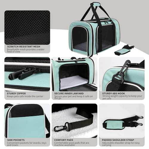 Cat Dog Carriers Soft-Sided, Pet Travel Carrier for Small Cats Dogs Under to15lbs, Soft-Solid Collapsible Carrier,(Medium,Green) - color: green, size: 17.0"L x 11.0"W x 11.0"H