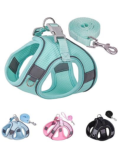 Solmoony Dog Harness for Small Medium Dogs No Pull, Puppy Harness and Leash Set, mesh Dog Harness. (Green, XS) - color: Green, size: XS
