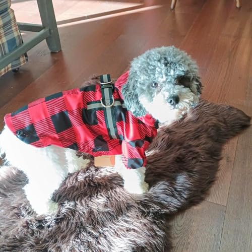 BEAUTYZOO Dog Raincoat and Jacket - Hooded with Built-in Harness, Poncho - Waterproof for Small, Medium, Large Dogs, Girls & Boys - Buffalo Red, Winter & Rainy Days - color: Buffalo Red, size: M(Back 15", Chest 22.5", Neck 16")