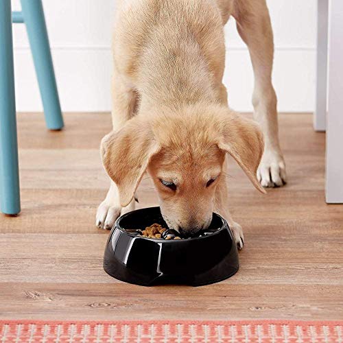 Dogit Go Slow Anti-Gulping Dog Bowl, Black, Medium - color: Black, size: Medium