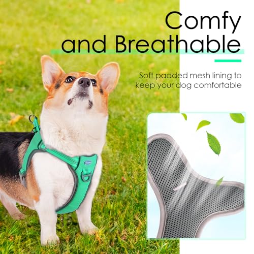 ThinkPet No-Pull Harness, Escape Proof Step-in Reflective Dog Vest Adjustable Breathable Halter Harness with Back/Front Clip for Better Control - color: Teal, size: Medium