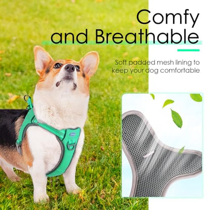 ThinkPet No-Pull Harness, Escape Proof Step-in Reflective Dog Vest Adjustable Breathable Halter Harness with Back/Front Clip for Better Control - color: Teal, size: Medium