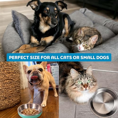 Master Pet Supply Stainless Steel Cat Bowls - 9 oz Heavy Duty - Rose Quartz, Double Wall Extra-Thick Insulated, Non-Slip Pet Water Bowl for Cats & Pets, Anti Rust Metal, Dishwasher Safe - color: Rose Quartz