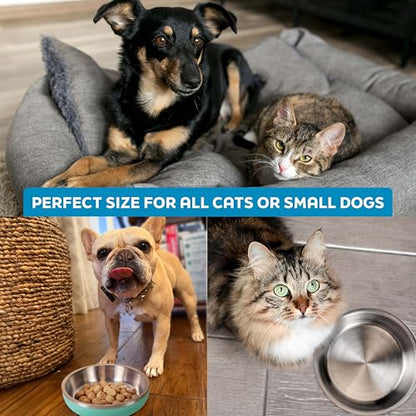 Master Pet Supply Stainless Steel Cat Bowls - 9 oz Heavy Duty - Hyper Pink, Double Wall Extra-Thick Insulated, Non-Slip Pet Water Bowl for Cats & Pets, Anti Rust Metal, Dishwasher Safe - color: Hyper Pink