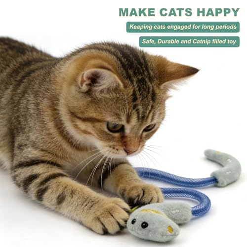 Interactive Cat Toys Set, Silvervine Chew Sticks and Catnip Spring Ropes, Indoor Cat Toys for Exercise and Dental Care, for All Cat Breeds (5 Pack) - color: 5 Pack