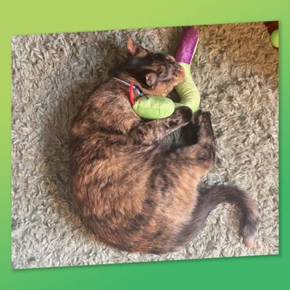 ZOOMIE Snake Kicker - Refillable Catnip Toy + Catnip | High Potency Hand Harvested Fresh | Soft Plush for Engaging Play - color: Snake