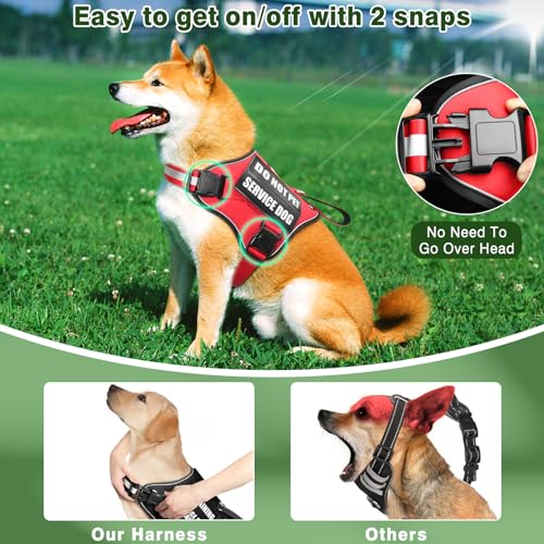 Service Dog Vest Harness and Leash Set+10 Patches,No Pull&Adjustable Reflective Dog Harness with Soft Padded Handle for Training/Everyday,Fit Small/Medium/Large/Extra-Large Dogs (Red S) - color: Red, size: Small
