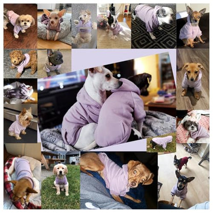 Jecikelon Winter Dog Hoodie Sweatshirts with Pockets Warm Dog Clothes for Small Dogs Chihuahua Coat Clothing Puppy Cat Custume (Purple, XX-Small) - color: Purple, size: XX-Small