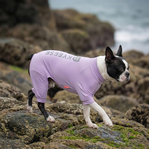 KYEESE UV Protection Dog Shirt, UPF 50+ Cooling Summer Jumpsuit for Small Dogs, Breathable Reflective Shedding Control Dog Sun Shirts, Quick-Dry Dogs Onesie Puppy Clothes, Purple, S - color: Purple, size: Small (6-10lbs)
