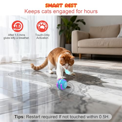 Interactive Indoor Cat Toys for Bored Adult Cats - Highly Entertaining Keep Cats Engaged for Hours, Rechargeable Silent Kitten Mouse Toy Automatic Hide and Seek with Stimulating Moving (Blue)