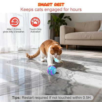 Interactive Indoor Cat Toys for Bored Adult Cats - Highly Entertaining Keep Cats Engaged for Hours, Rechargeable Silent Kitten Mouse Toy Automatic Hide and Seek with Stimulating Moving (Blue)