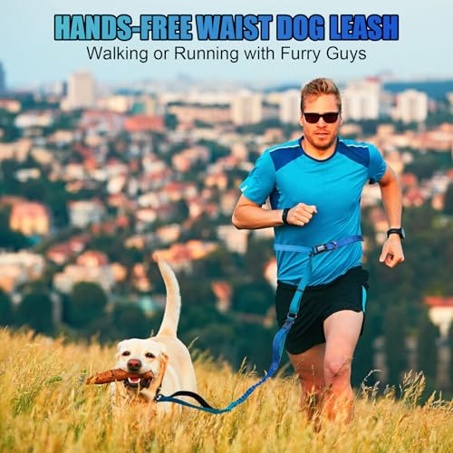 Heavy Duty Hands Free Dog Leash, 5-7 FT Reflective Adjustable Waist Dog Leash Belt with Padded Handles, Shock Absorbing Bungee and Car Seat Belt for Large Medium Dogs (Gradient Cobalt, XL) - color: Gradient Cobalt