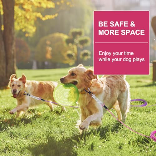 10FT Dog Tie Out Cable - 1000LBS Strength, Heavy Duty Yard Leads with Spring & Swivel Hook, Dog Line Tether for Small/Large Dogs - color: Pink Mauve, size: 10FT