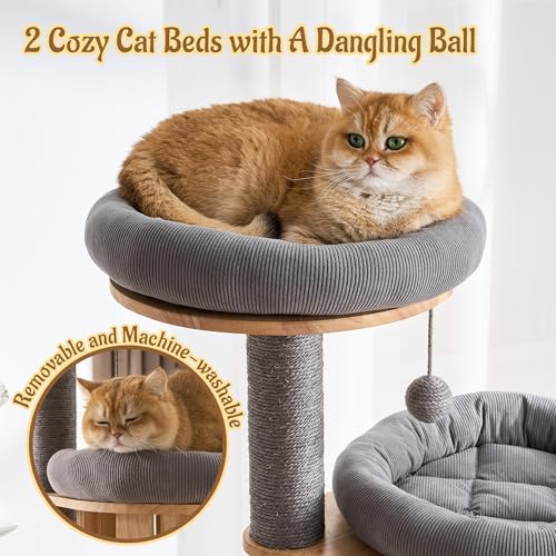Modern Cat Tree Tower with Scratching Post, 61.5in Tall Cat Tree for Indoor Cats, Multi-Level Solid Wood Cat Furniture with Ladder, Cozy Cat Beds, Cat Condo, Capsule Nest, Dangling Toy, Gray - color: 61.5"Gray