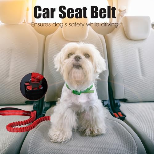 BUMBIN 6Ft Dog Leash Large Dogs, Bungee Dog Leash with 2 Handles, Heavy Duty Dog Leashes for Medium Small Dogs, No Pull Shock Absorbing Dog Leash with Car Seat Belt for Training, Red - color: Red