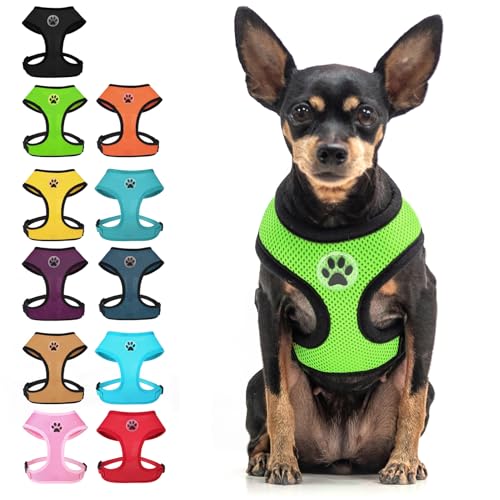 BINGPET Small Dog Harness, No Pull Dog Harness Small Sized Dogs, Soft Light Breathable Mesh Puppy Vest with Safety Buckle-Adjustable Step in Pet Harnesses for Easy Walking, Running, Training - color: Green, size: XS (NECK: 10", CHEST: 10"-14")