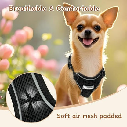 Small Dog Harness and Leash Set, Reflective Soft Breathable Mesh Vest, 3 Buckles, Adjustable Neck and Chest,Step in Dog Harness for Walking, Running, Training, Black, S - color: Black, size: Small