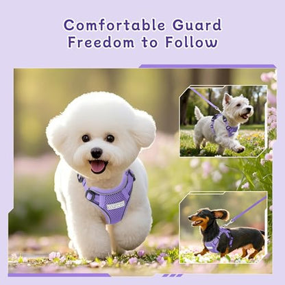Small Dog Harness and Leash Set, Reflective Soft Breathable Mesh Vest, 3 Buckles, Adjustable Neck and Chest,Step in Dog Harness for Walking, Running, Training, Purple, XS - color: Purple, size: X-Small