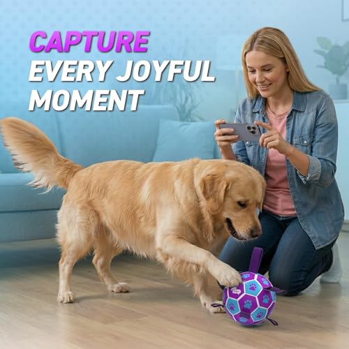 QDAN Dog Ropes Toys Soccer Ball with Straps, Puppy Birthday Gifts, Tug of Toy, Water Toy, Durable Balls for Dogs, Medium Small Breed, 6 Inch - color: Purple-Blue, size: Medium Size 2 (6")