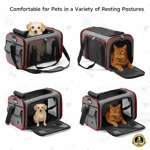 EliteField Soft-Sided Pet Carrier (3-Year Warranty, Airline Approved), Foldable Travel Bag with Removable Fleece Bed for Dogs, Cats & Small Pets, Scratch-Resistant Mesh - color: Gray, size: 18.0"L x 11.0"W x 11.0"H