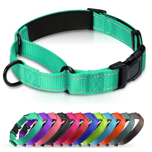 Martingale Collar for Dogs with Quick Release Buckle, Reflective Soft Padded & Escape Proof, Adjustable Nylon Dog Collars for Training & Daily Walking (Turquoise,XS) - color: Turquoise, size: XS:width 5/8"neck 10.5-12"