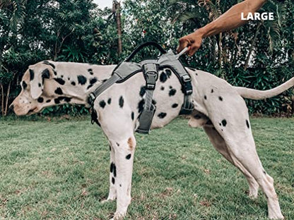 Tuff Pupper Escape Proof No Escape Dog Harness | 5 Point Adjustable Fit Harness for Dogs | Padded Dog Harnesses | Handle Dog Lift Harnesses - color: Steel Grey, size: Large