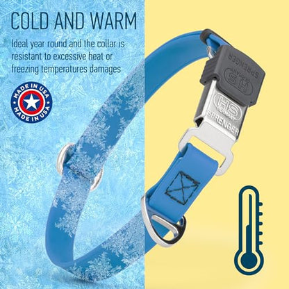 Biothane Waterproof Durable Dog Collar with Herm Sprenger - Quick Release ClicLock Buckle - Fits Medium and Large Dogs - Made in USA (Cerulean Blue, W 3/4" x L 12"-19") - color: Cerulean Blue, size: W 3/4" x L 12"-19"