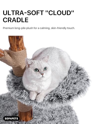 Sopapets Solid Wood Cat Tree for Large Cat, 41.3" Modern Cat Tower with Heavy Duty Real Branch & Hand-Woven Basket, Sisal Scratching Posts & Cozy Bed, Luxury Furniture for Indoor & Maine Coon, Gray - color: Gray