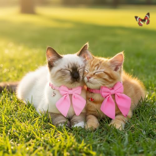 SynHHergyx 2 Pack Pink Cat Collar with Bow, Cute Cat Collar Breakaway with Bells, Pink Bowtie for Girl Cats, Cute Small Kitten Collars with Removable Safety Bowtie