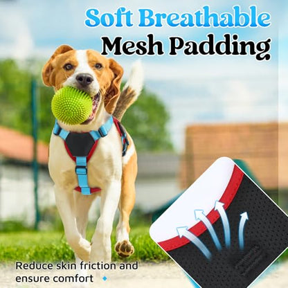 rabbitgoo Escape Proof Dog Harness Large Dogs, Soft Padded Full Body Pet Harness, Reflective Adjustable No Pull Vest with Lift Handle and Leash Clip for Walking Hiking Training, Blue & Red, S - color: Blue & Red, size: Small (Pack of 1)