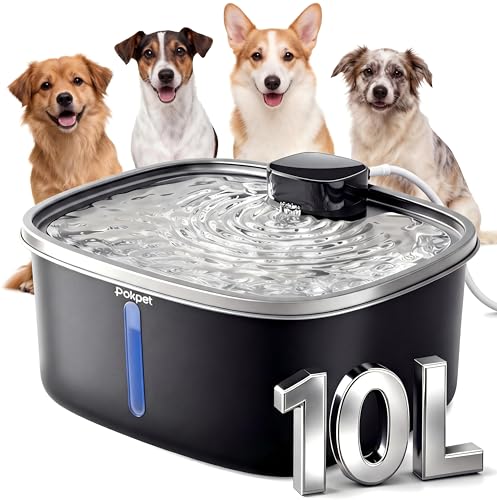 Water Fountain for Dogs Indoor Homes Stainless Steel 10L/2.64GAL Plug in Plastic Reservoir Stainless Steel Water Bowl Filtered Multi-Pet Quiet Large Black Plug-in &1Filter