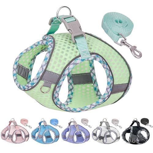 Summer Soft Dog Harness and Leash Set,Ultra Thin Breathable Diamond Mesh, Step in Adjustable Dog Harness with Padded Vest for Medium Size Dogs in Hot Weather Sage L - color: Sage, size: L