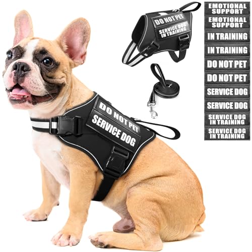 Service Dog Vest Harness and Leash Set+10 Patches,No Pull&Easy Walk Reflective Dog Harness with Soft Padded Handle for Training/Everyday,Fit Small/Medium/Large/Extra-Large Dogs(Black M) - color: Black, size: Medium