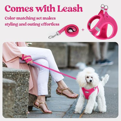 rabbitgoo Dog Harness Small Sized and Leash Set, Step in Soft Light Puppy Vest, Breathable Mesh Pet Harness, Reflective for Safe Easy Walking, Rose Red XXS - color: Rose Red, size: Xxs (chest: 12.4 - 14.2")