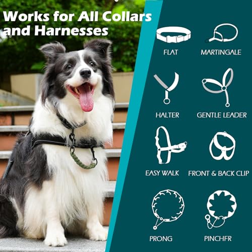 Dog Collar Safety Clip, Handmade Backup Safety Strap for Dog Harness, Prong, Pinch Collar, Double Ended Clasp Leash Connector (Army Green) - color: Army Green