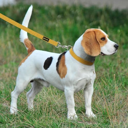 Plutus Pet Cotton Hemp Dog Collar and Leash Set, Adjustable Collar for Small, Medium, and Large Dogs, Heavy Duty and Soft on Skin, Yellow, XS - color: Yellow, size: X-Small