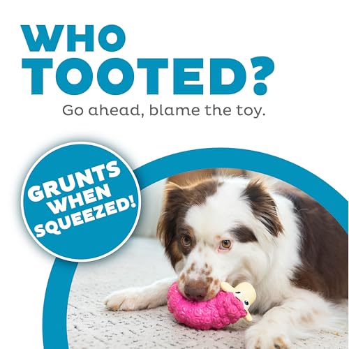 Outward Hound Tootiez Sheep Grunting Latex Rubber Dog Toy, Small - color: Pink, style: Grunt Sound